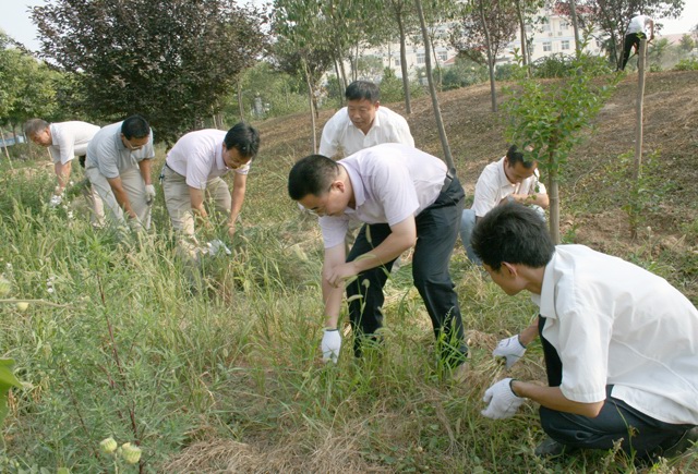 集團(tuán)公司黨員義務(wù)勞動迎七一